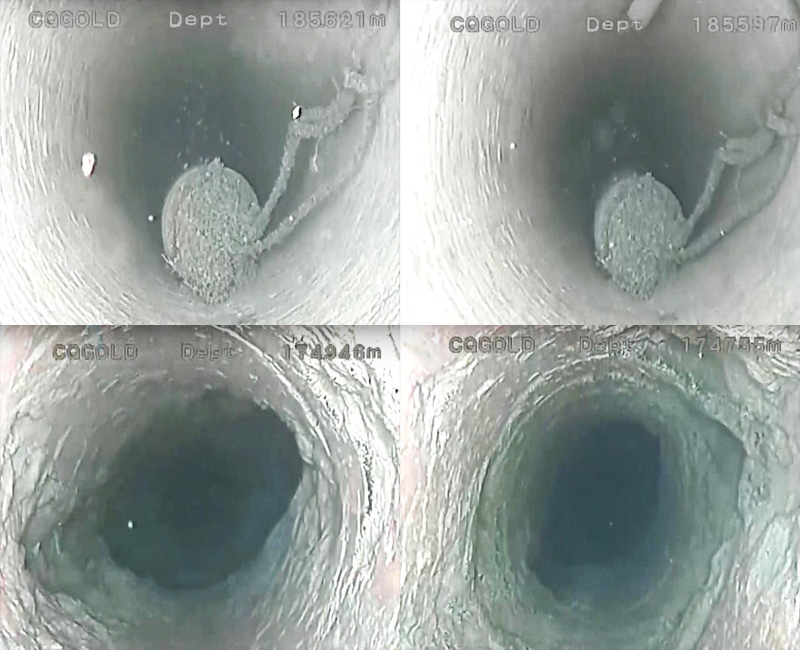 panoramic camera view