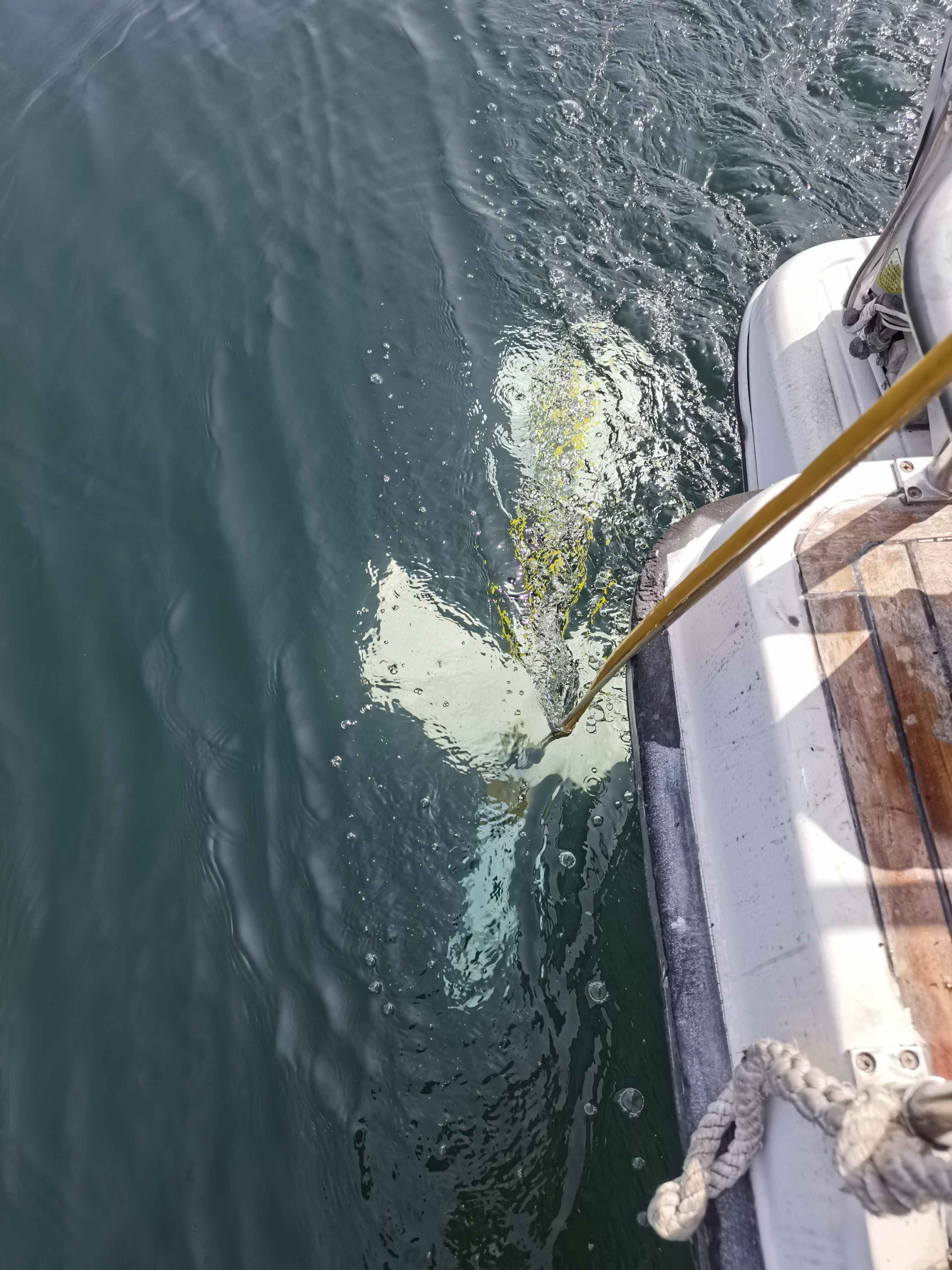 Subsea Pipeline Inspection Magnetometer High Sensitivity Marine Magnetometer Marine Mineral Exploration Magnetometer