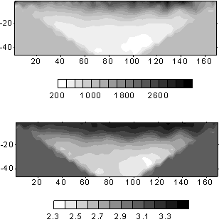 Figure 1 Leakage survey result by ERT (Line 1)
