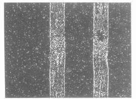 QQ图片20240314100810