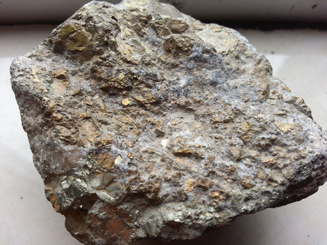 Sources of Ore-forming Metals in Porphyry Deposits