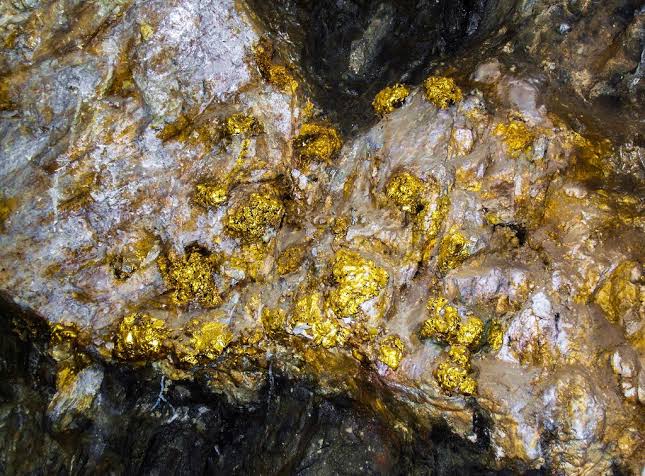 Regional tectonic setting and island arc magmatic rocks of the Philippine Islands
